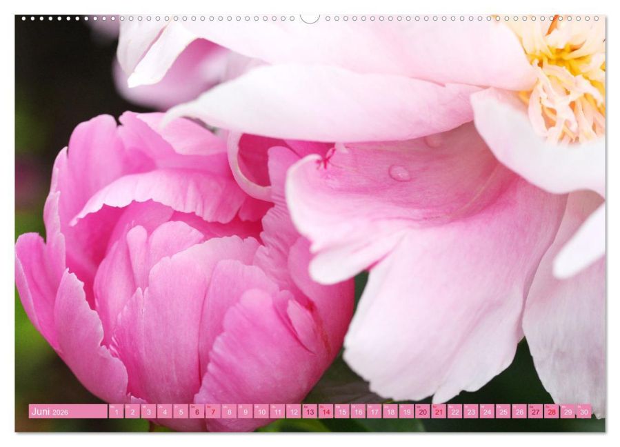 additionalImage10