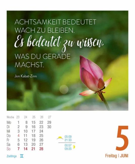 additionalImage8