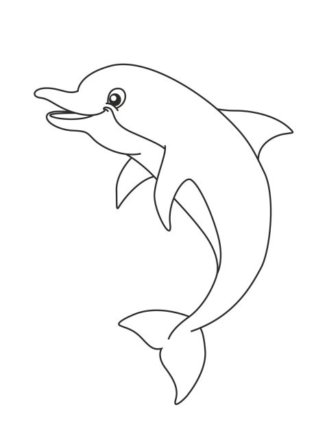 additionalImage6