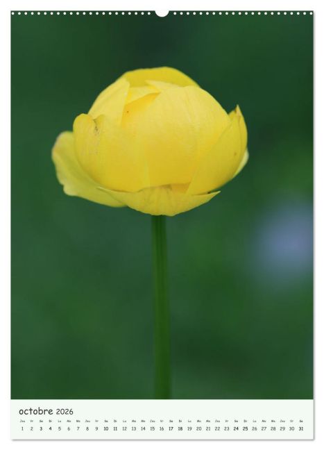 additionalImage1