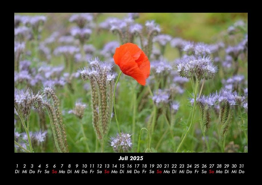 additionalImage11