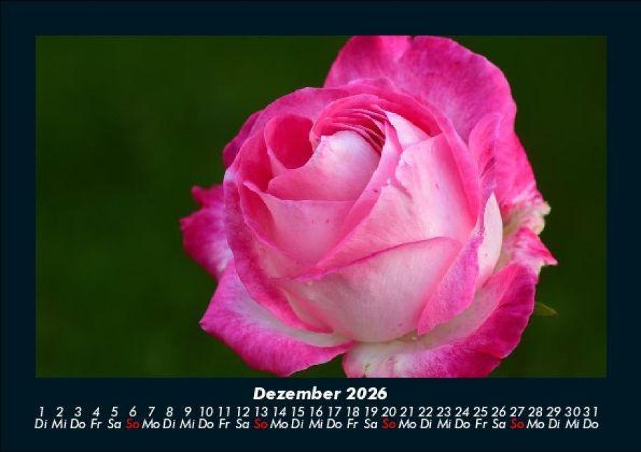 additionalImage4