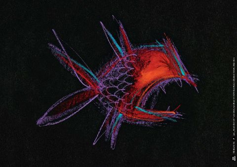 Bildprobe 1