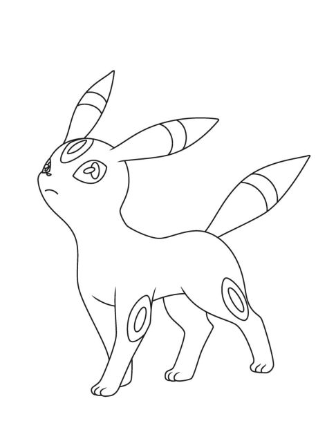 additionalImage7