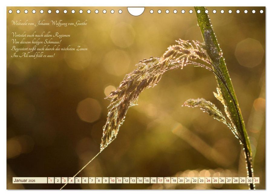additionalImage6