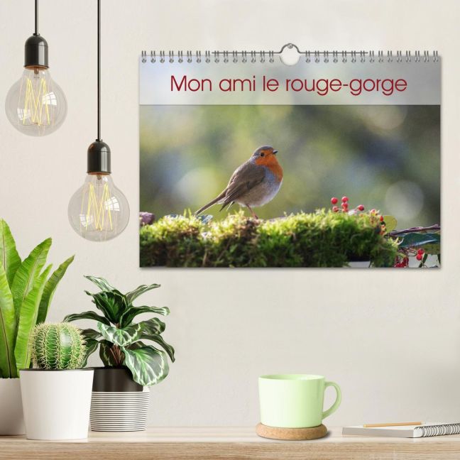 additionalImage1