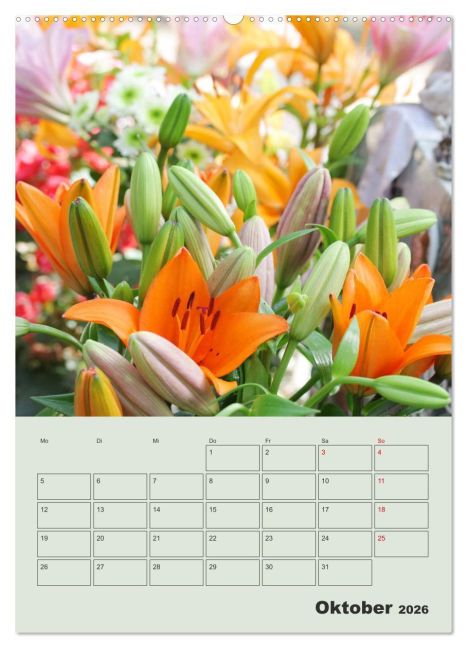 additionalImage1