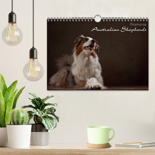 additionalImage1