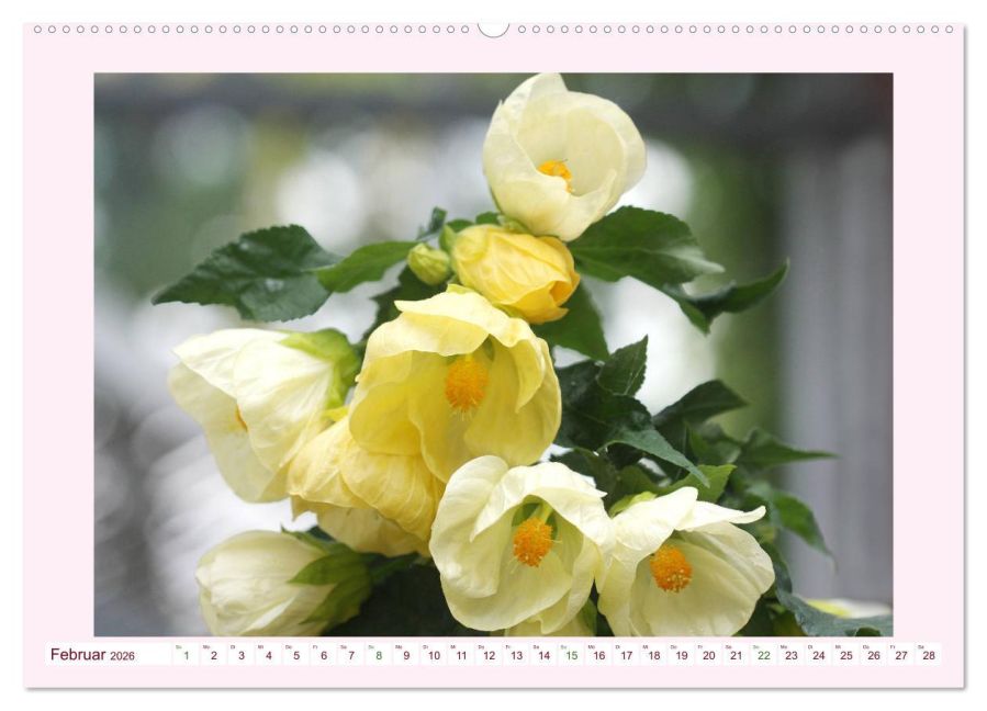 additionalImage7