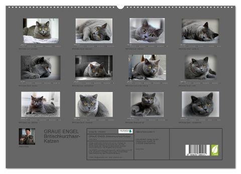 additionalImage4
