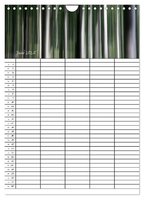 additionalImage11