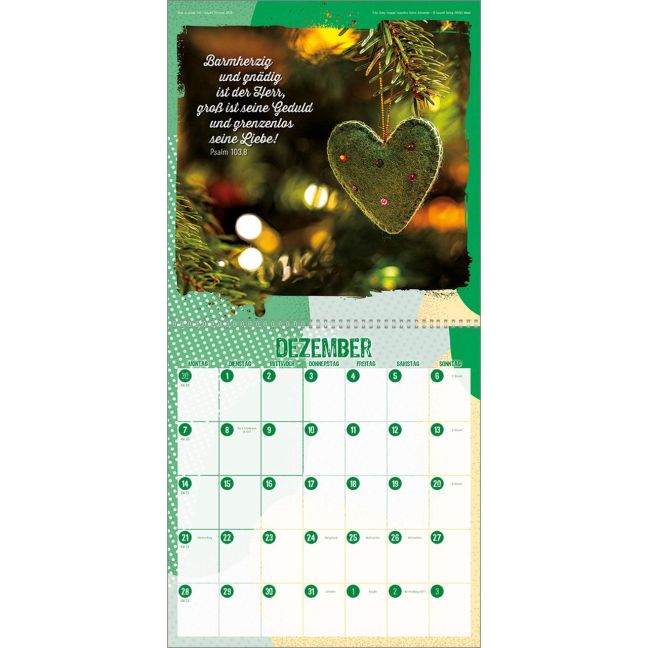 additionalImage12