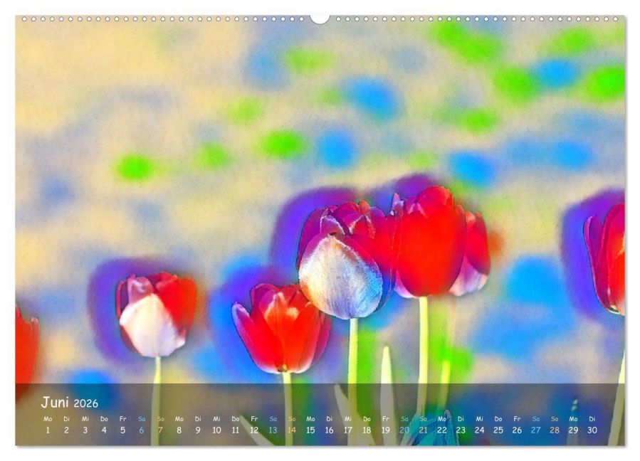 additionalImage10