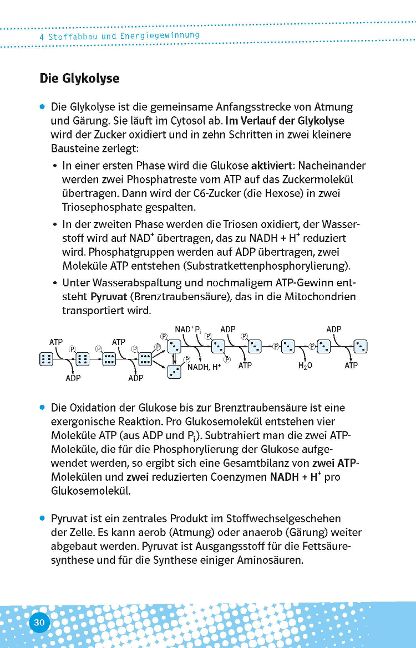 additionalImage6