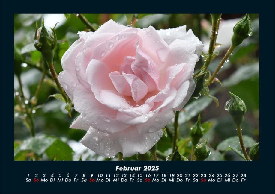 additionalImage6