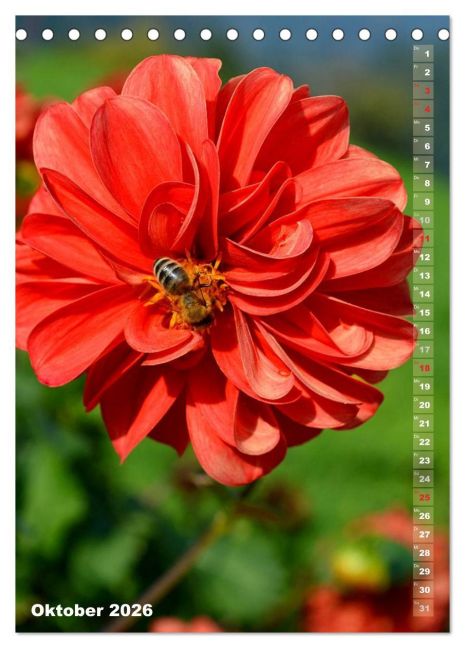 additionalImage2