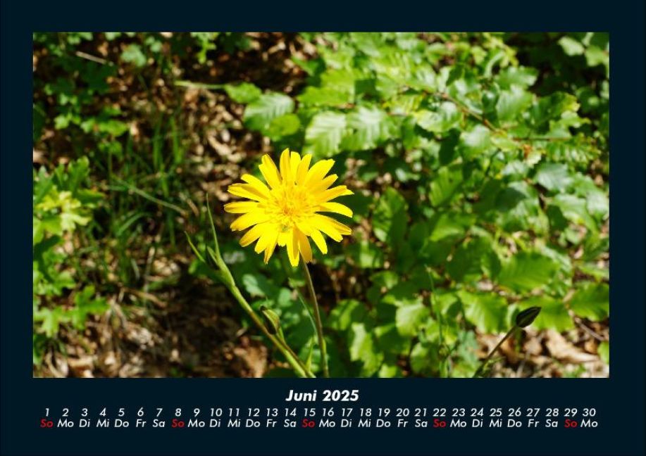 additionalImage10