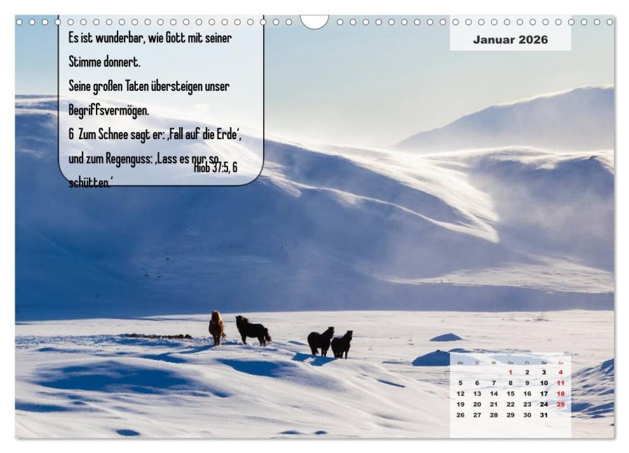 additionalImage6