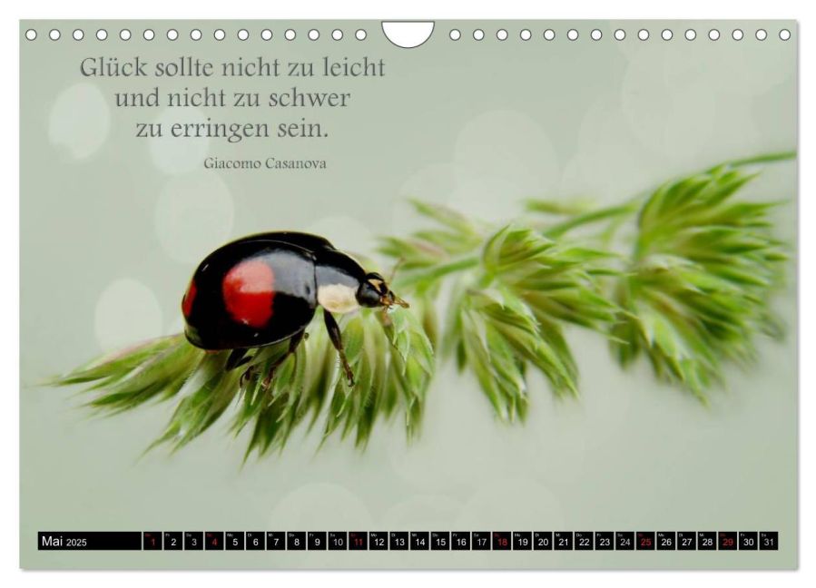 additionalImage10