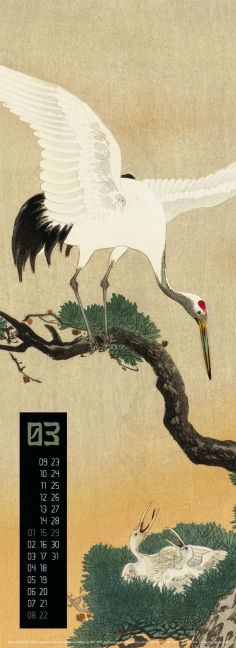 additionalImage3
