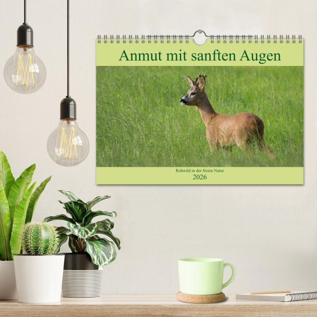 additionalImage1