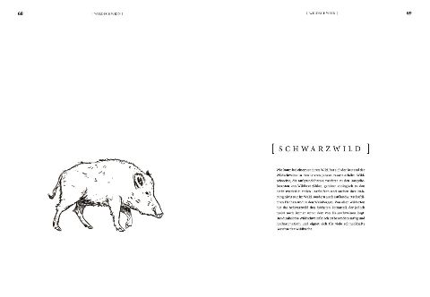 additionalImage5