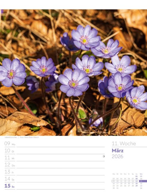 additionalImage14