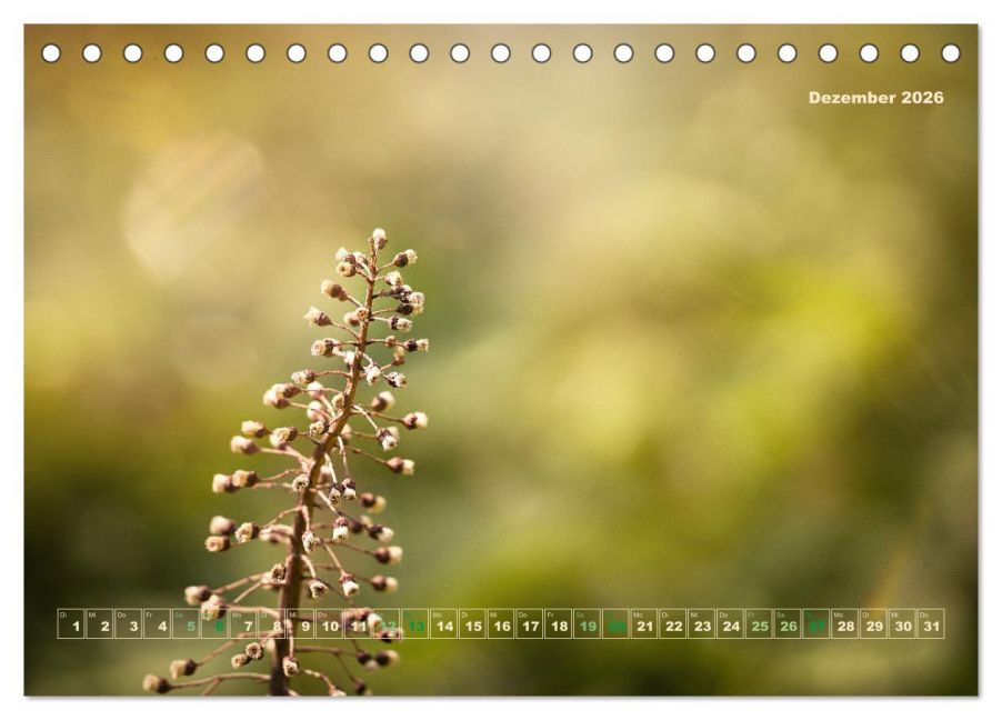 additionalImage4