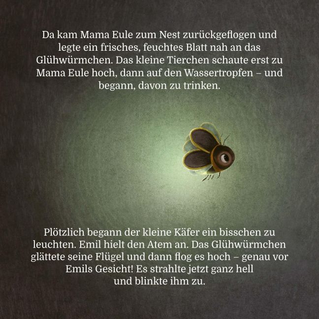 additionalImage12