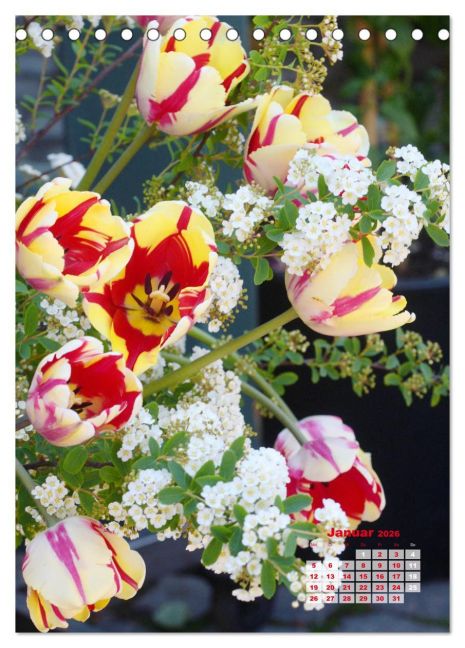 additionalImage6