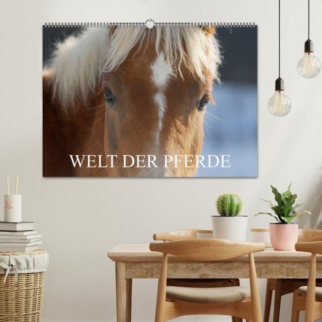 additionalImage1