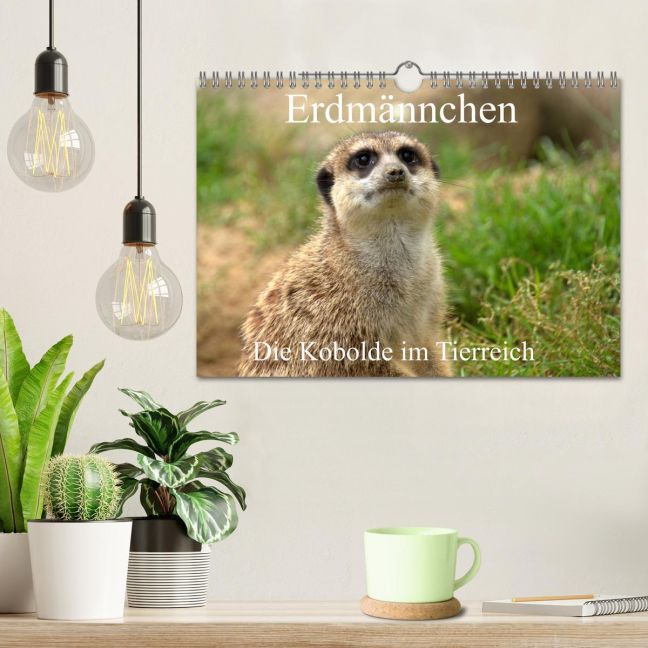 additionalImage1