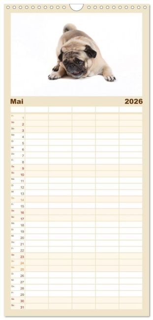 additionalImage10