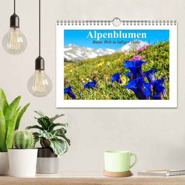 additionalImage1