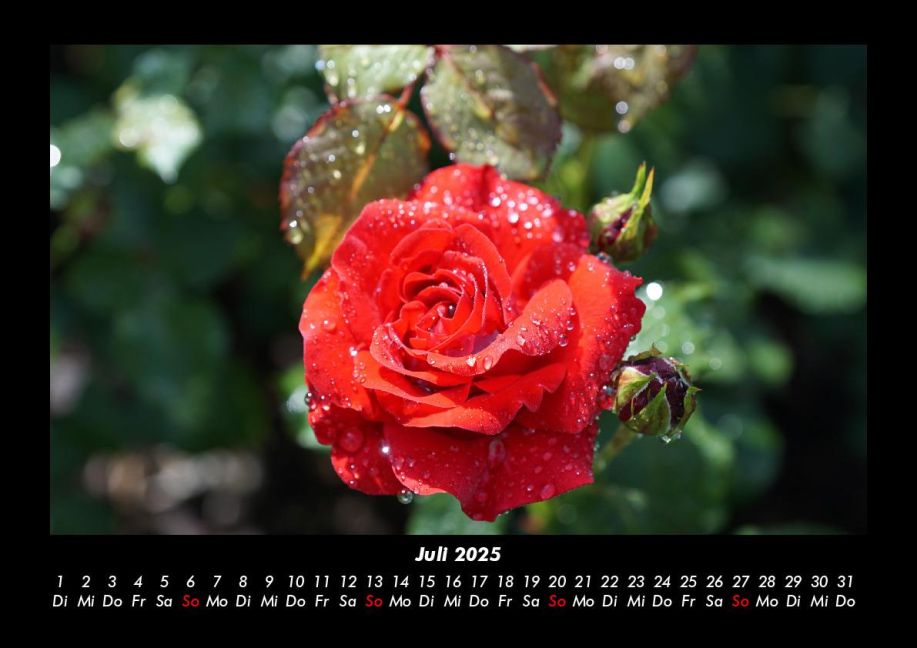 additionalImage11