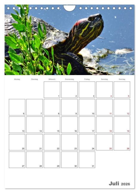 additionalImage12