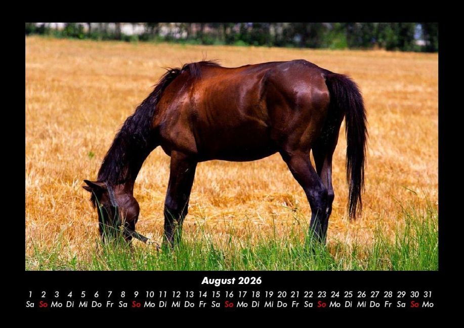 additionalImage12