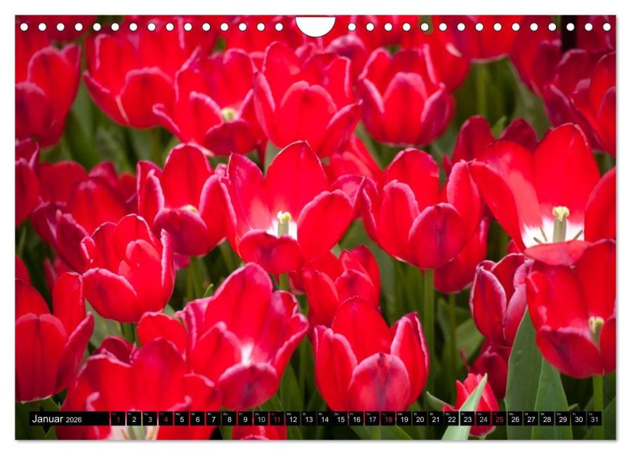additionalImage6