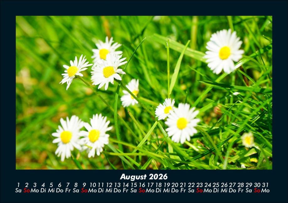 additionalImage12
