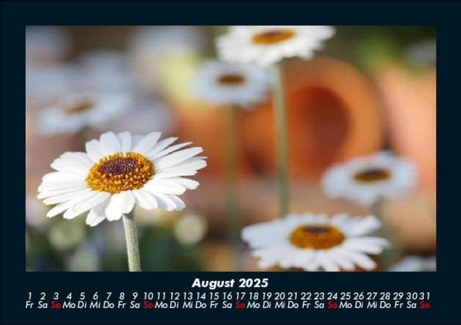additionalImage12