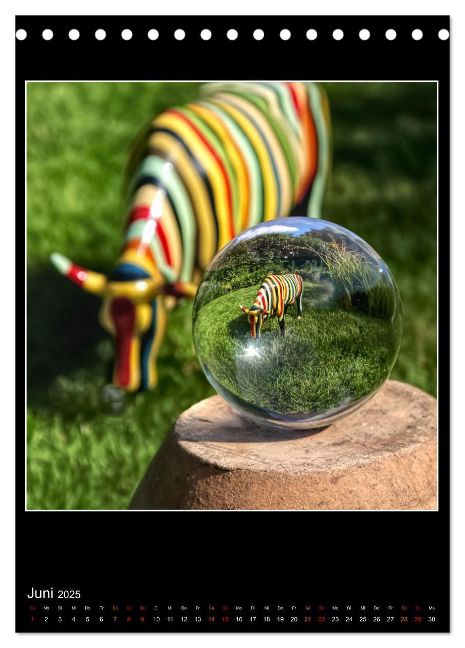 additionalImage11