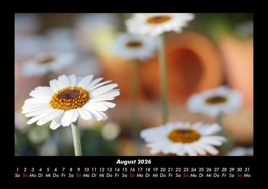 additionalImage12