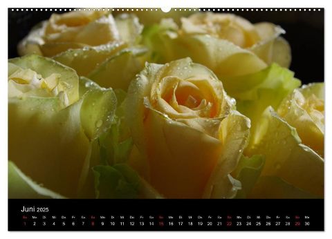 additionalImage11