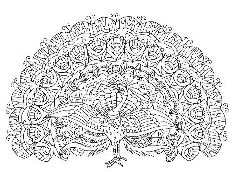additionalImage1
