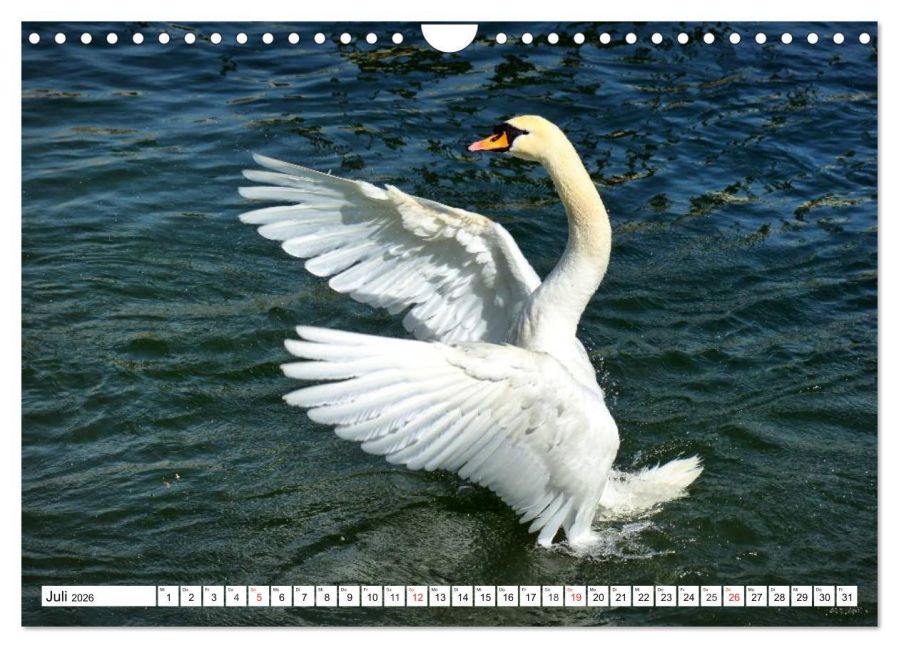 additionalImage12