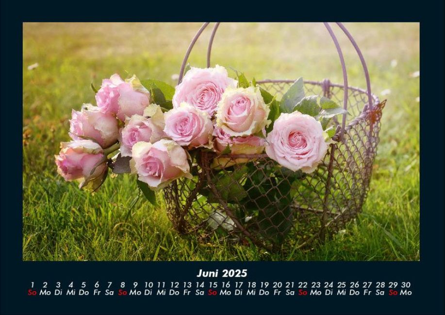 additionalImage10