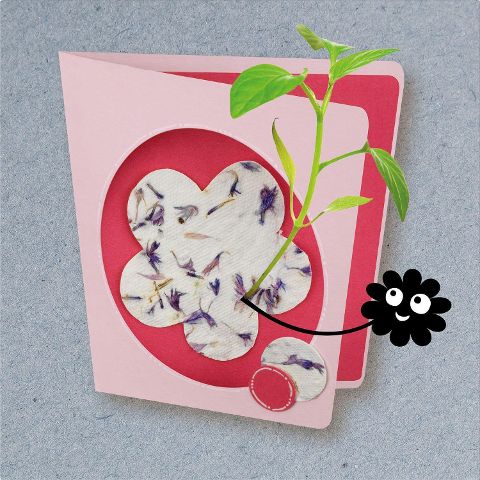additionalImage3