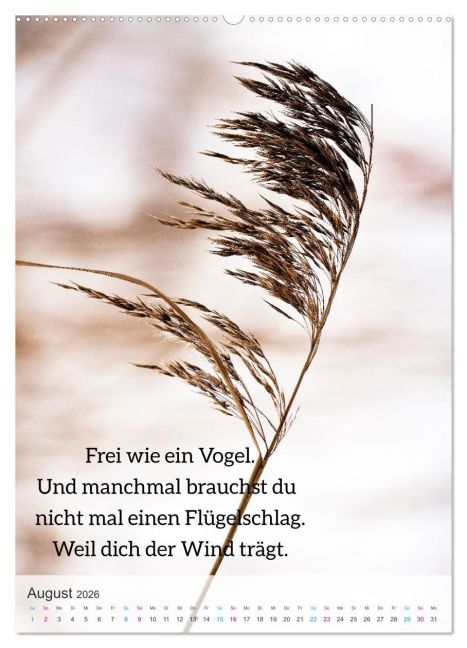 additionalImage12