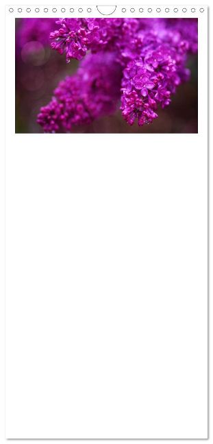 additionalImage11