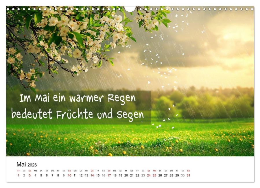 additionalImage10